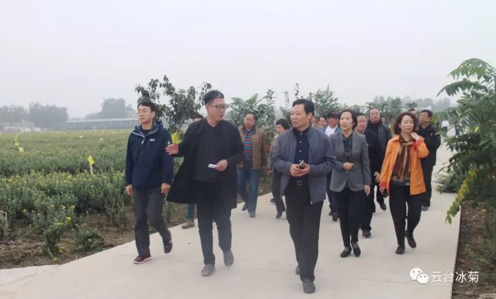 云臺冰菊基地發(fā)生了什么？一批批領(lǐng)導專家團隊前來！