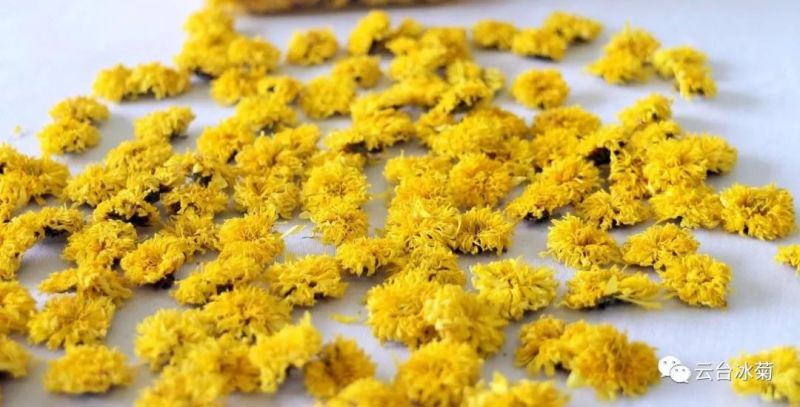 2018，種下希望，靜待花開！